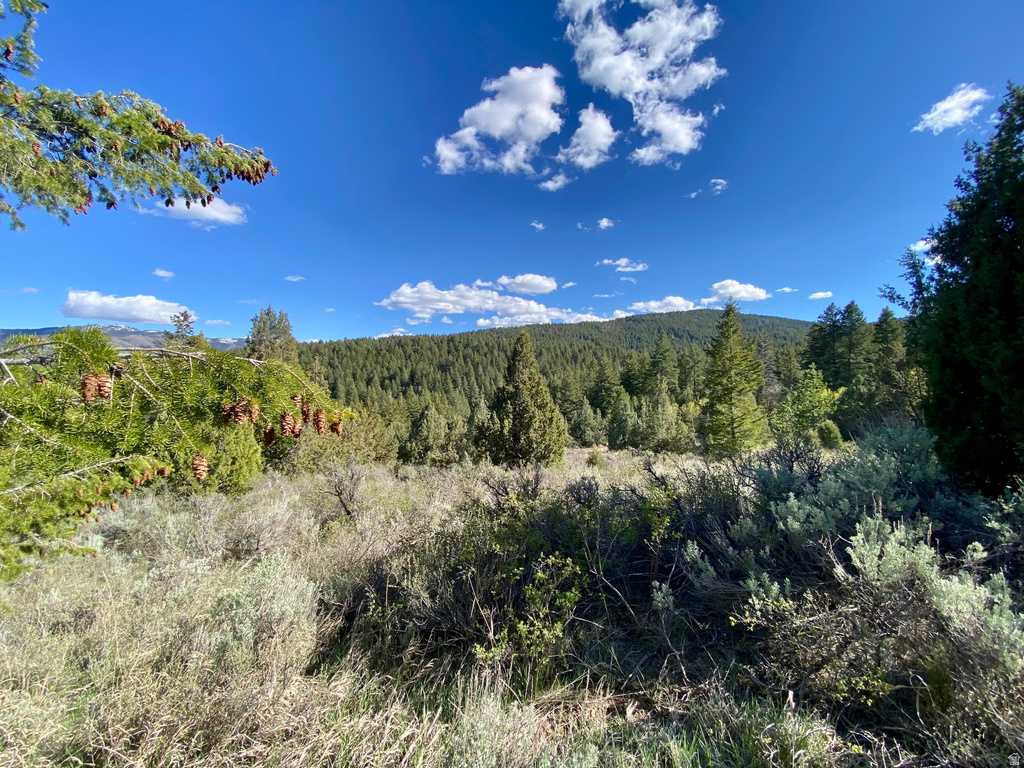  Lava Hot Springs, ID 83246