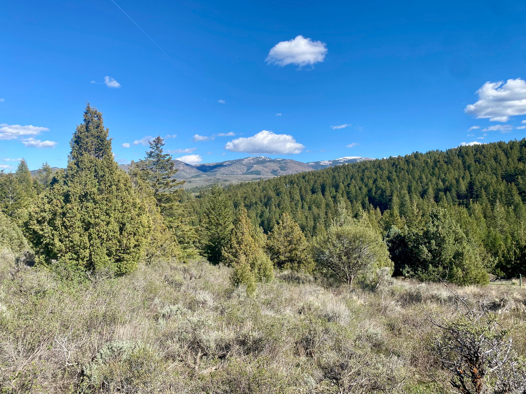  Lava Hot Springs, ID 83246