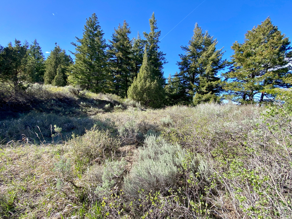  Lava Hot Springs, ID 83246