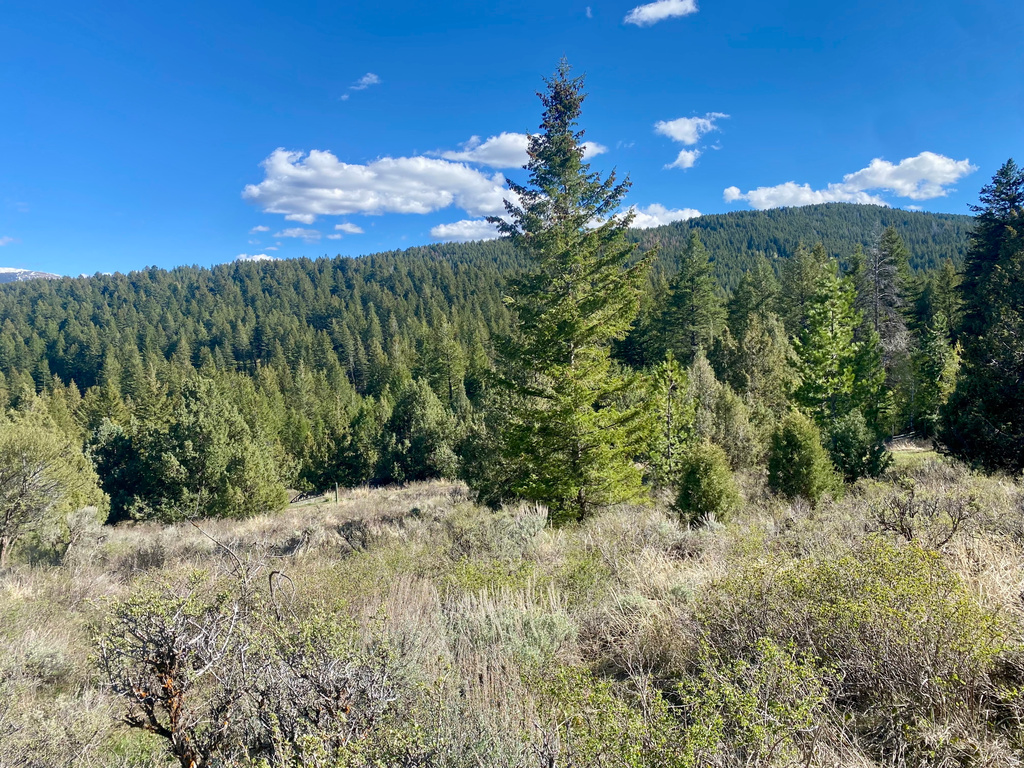  Lava Hot Springs, ID 83246