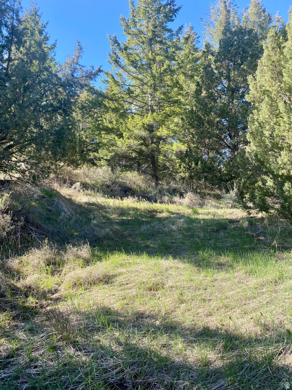  Lava Hot Springs, ID 83246