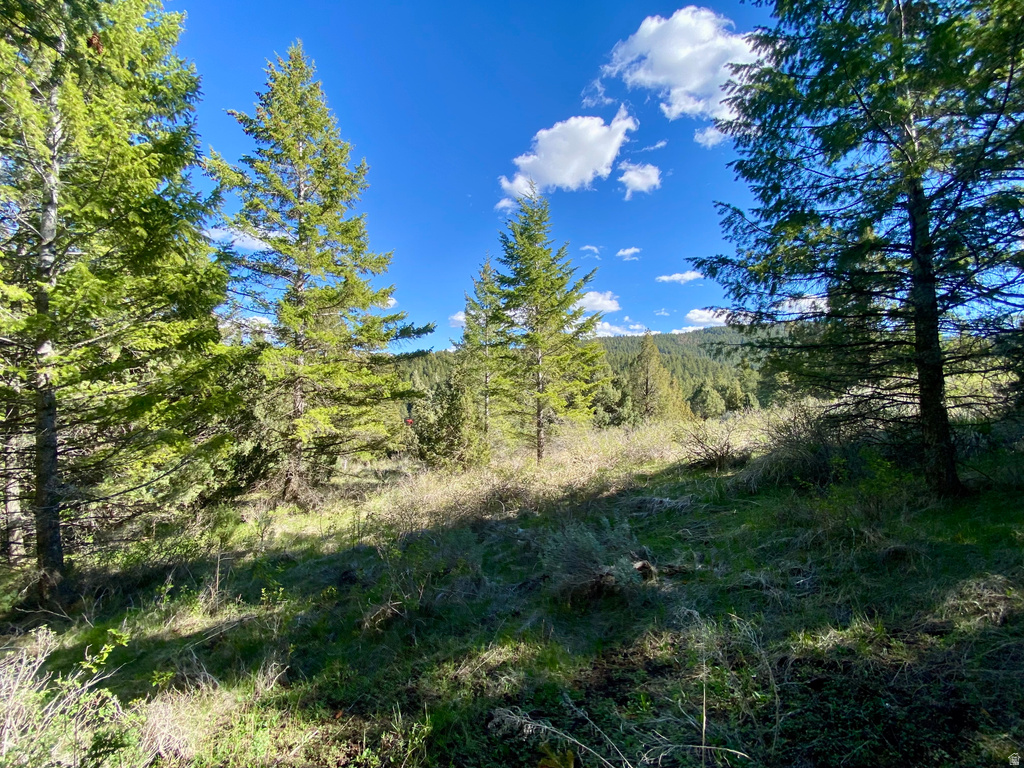  Lava Hot Springs, ID 83246