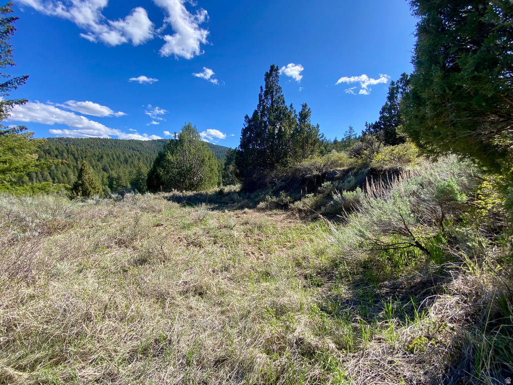  Lava Hot Springs, ID 83246