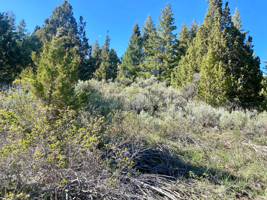  Lava Hot Springs, ID 83246