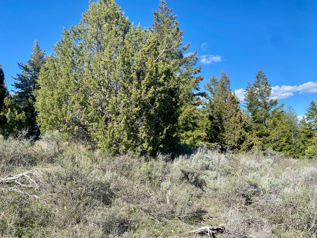  Lava Hot Springs, ID 83246