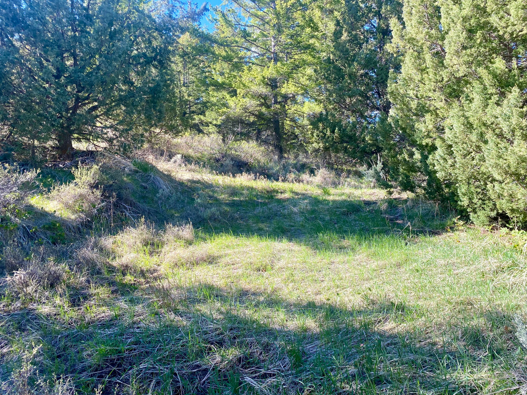  Lava Hot Springs, ID 83246