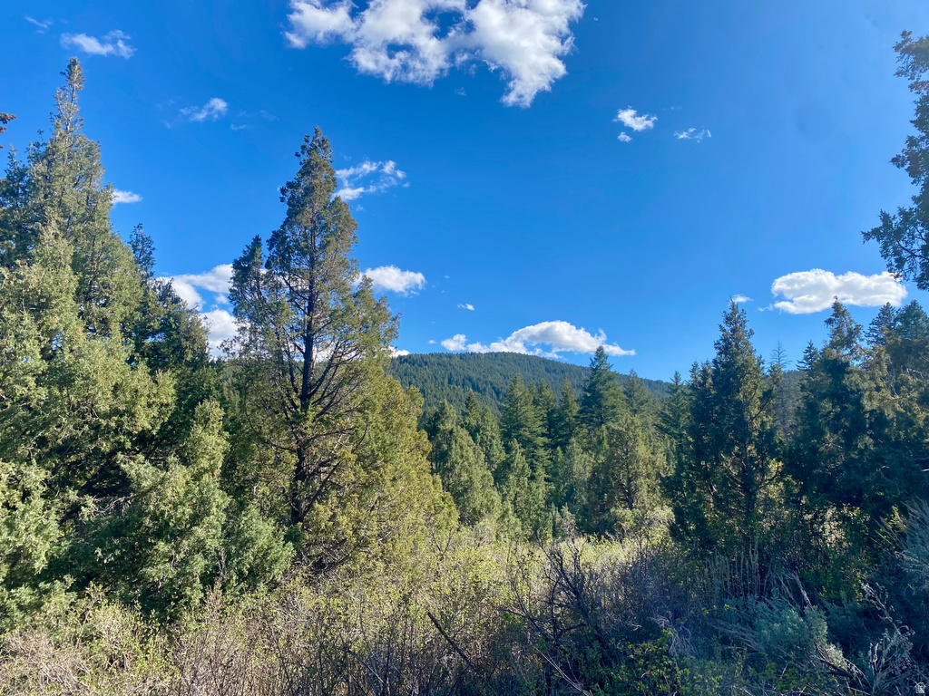  Lava Hot Springs, ID 83246
