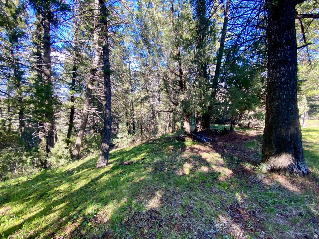  Lava Hot Springs, ID 83246