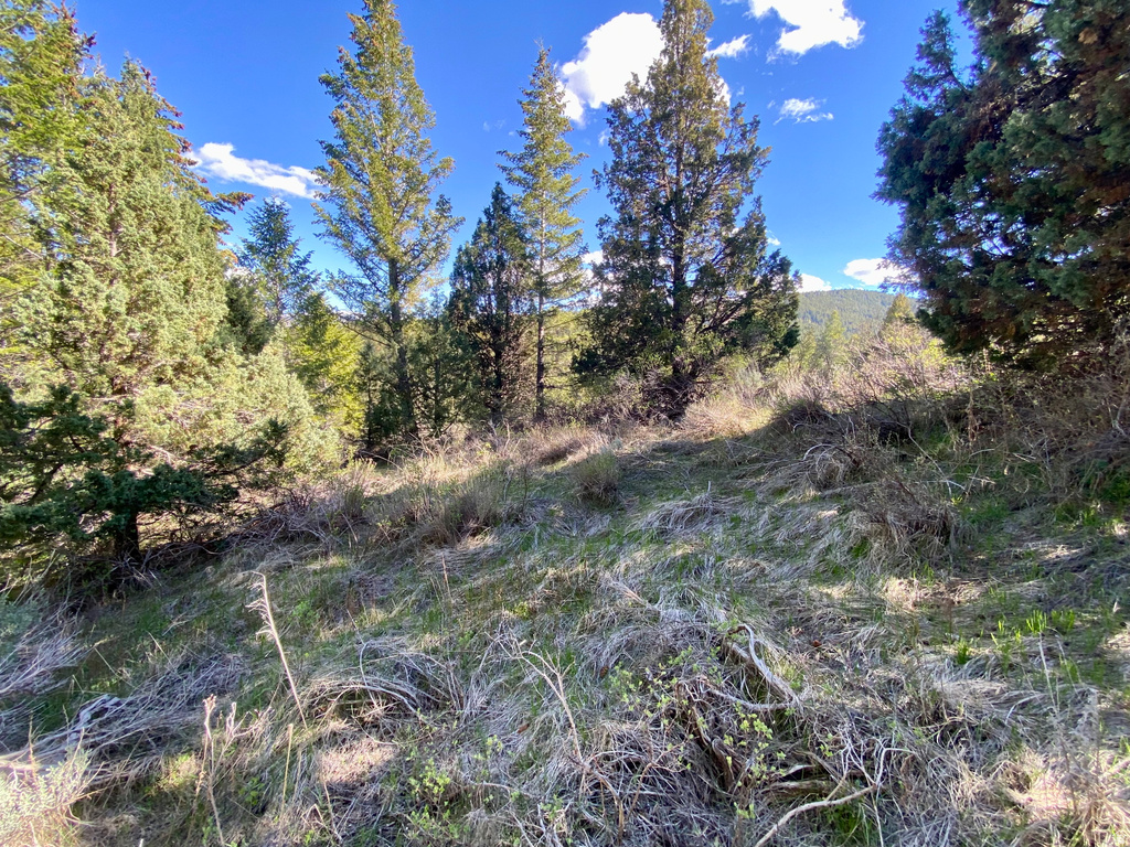  Lava Hot Springs, ID 83246