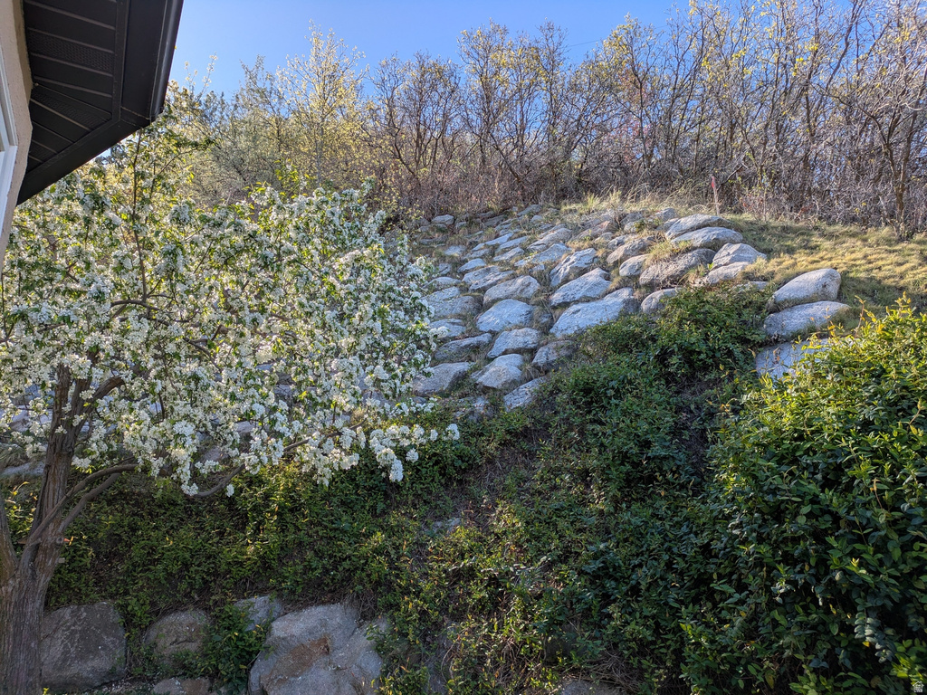 4925 S MOUNTAIN LN Salt Lake City, UT 84124