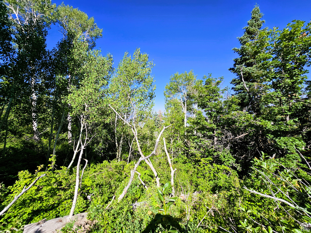 12  PINE RIDGE ESTATES DR Mt Pleasant, UT 84647