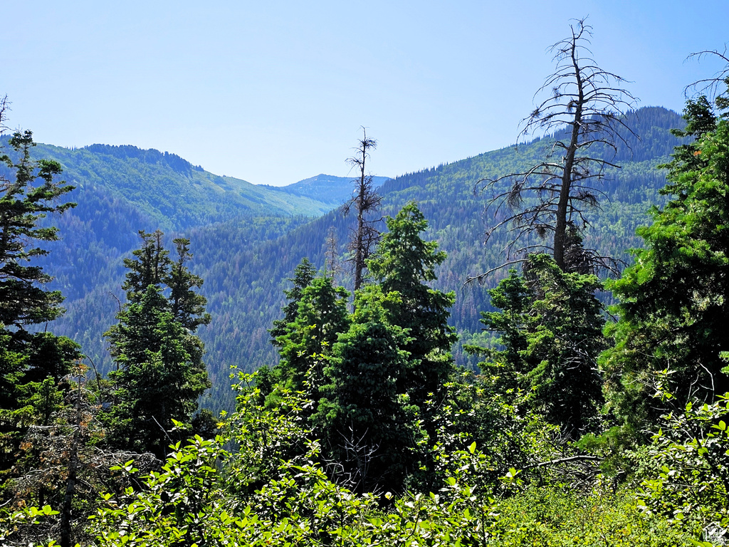 12  PINE RIDGE ESTATES DR Mt Pleasant, UT 84647