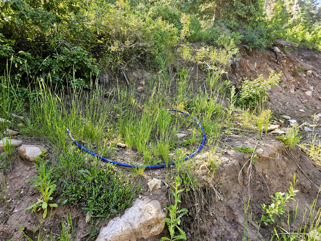 12  PINE RIDGE ESTATES DR Mt Pleasant, UT 84647