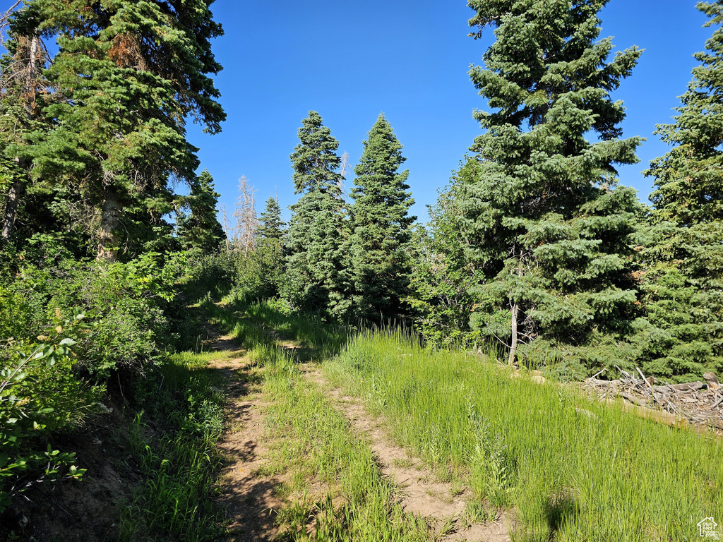 12  PINE RIDGE ESTATES DR Mt Pleasant, UT 84647