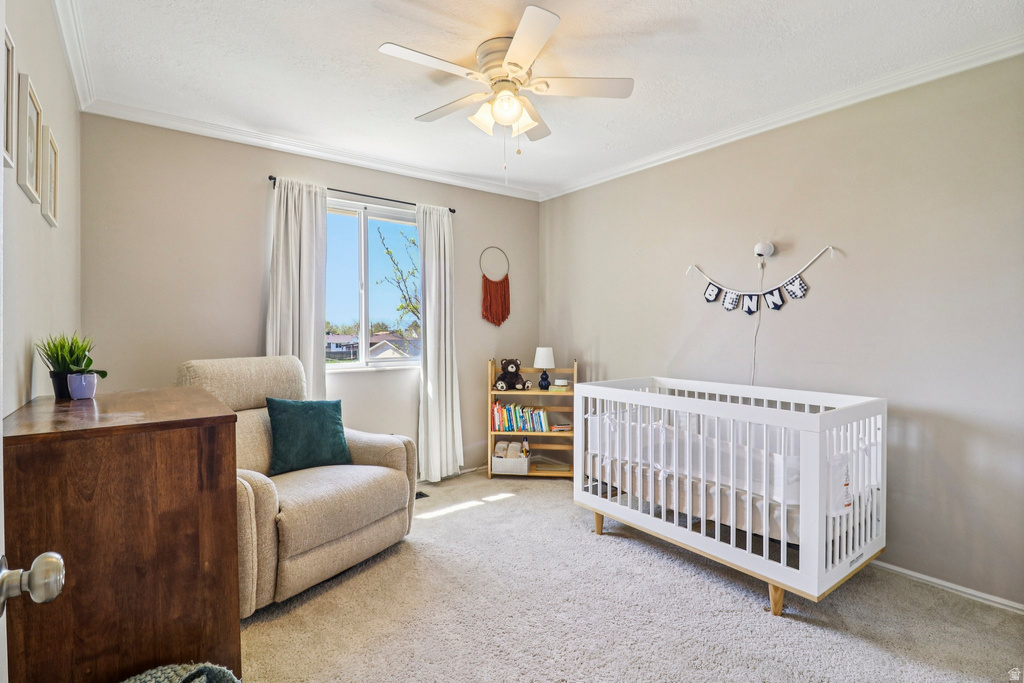 1107 W 450 S Layton, UT 84041