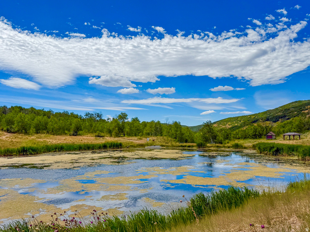 1950  MOOSE HOLLOW Coalville, UT 84017