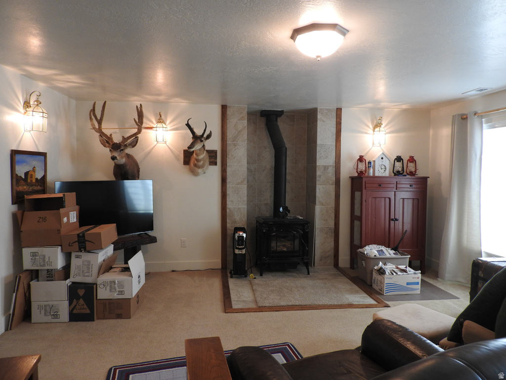 665 S 600 E Mt Pleasant, UT 84647