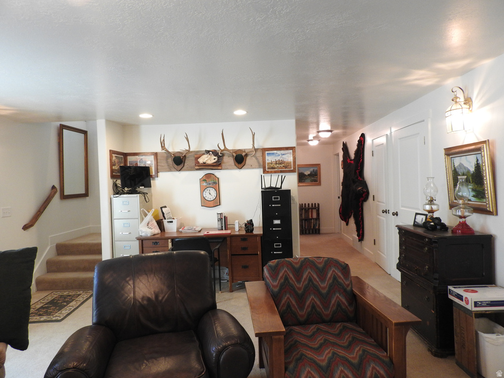 665 S 600 E Mt Pleasant, UT 84647