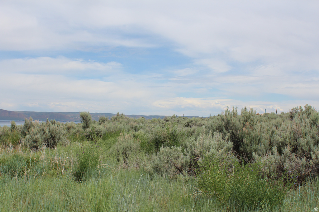 100  LOTUS DR Fish Haven, ID 83287