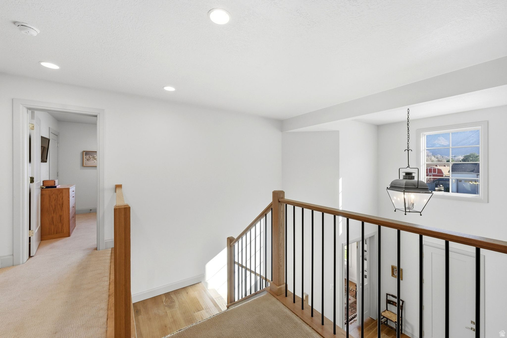 11382 S CANYON FALLS LN Sandy, UT 84092