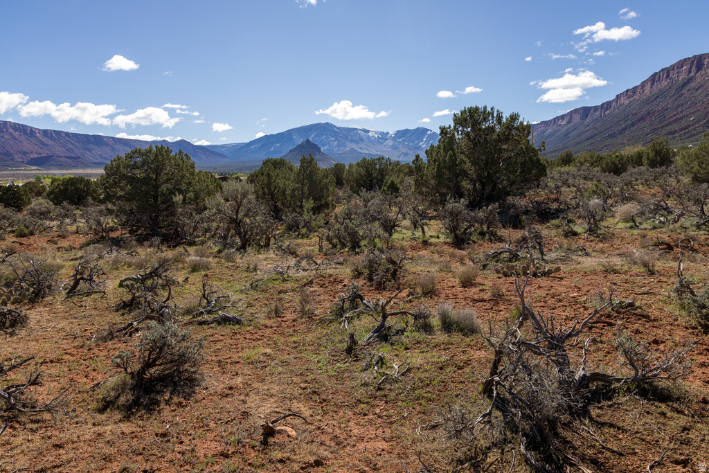 134 W BUCHANAN LN Castle Valley, UT 84532