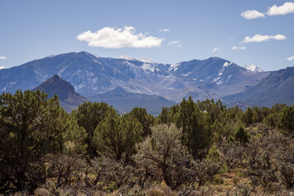 134 W BUCHANAN LN Castle Valley, UT 84532