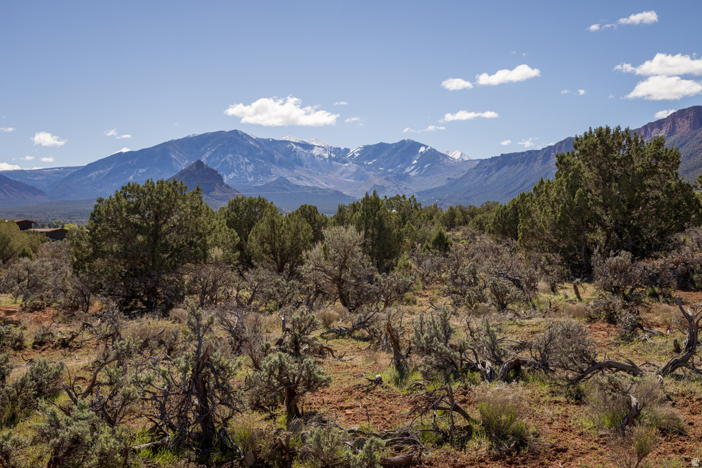 134 W BUCHANAN LN Castle Valley, UT 84532