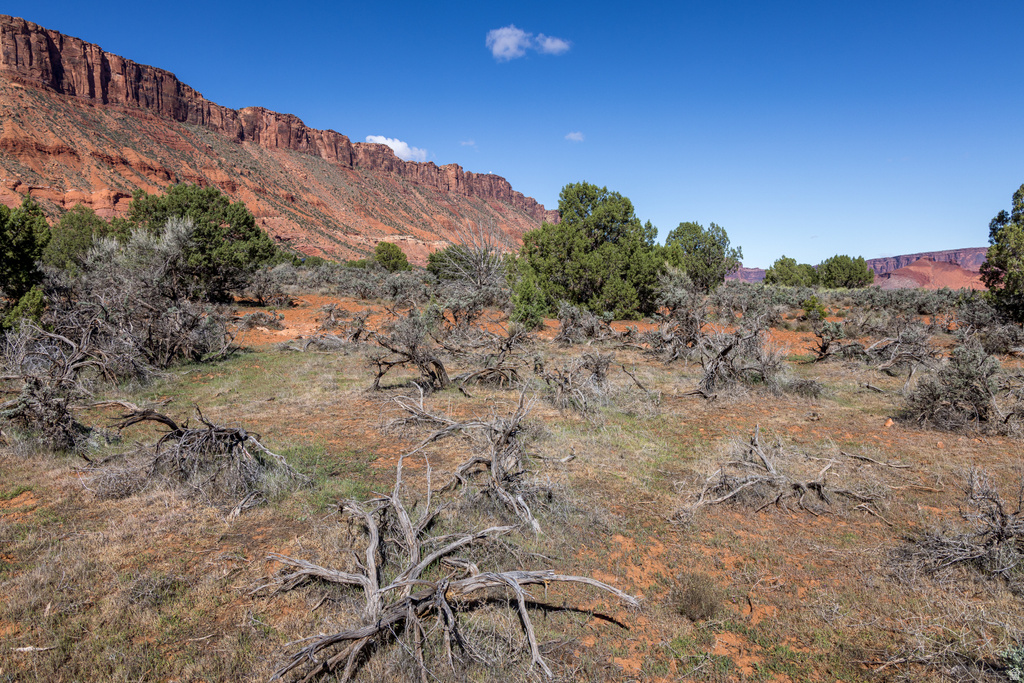 134 W BUCHANAN LN Castle Valley, UT 84532