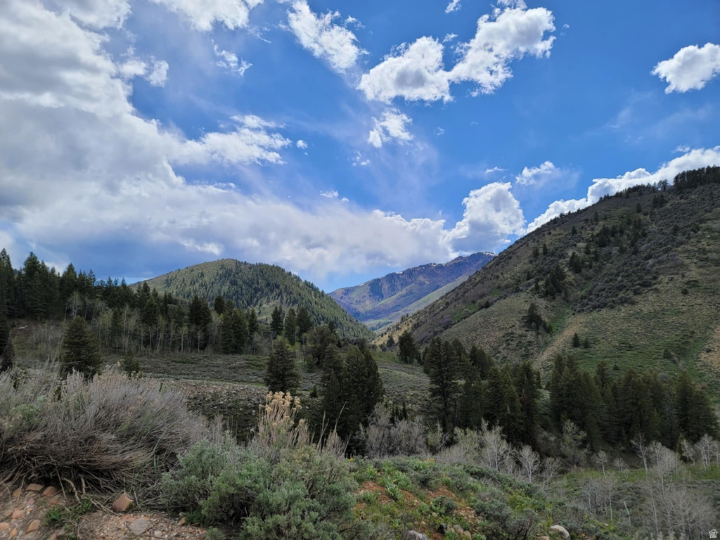 11607  MIDDLE FORK DR Huntsville, UT 84317