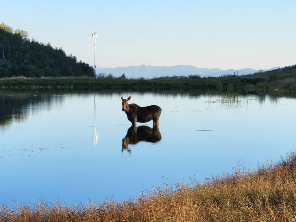 11607  MIDDLE FORK DR Huntsville, UT 84317