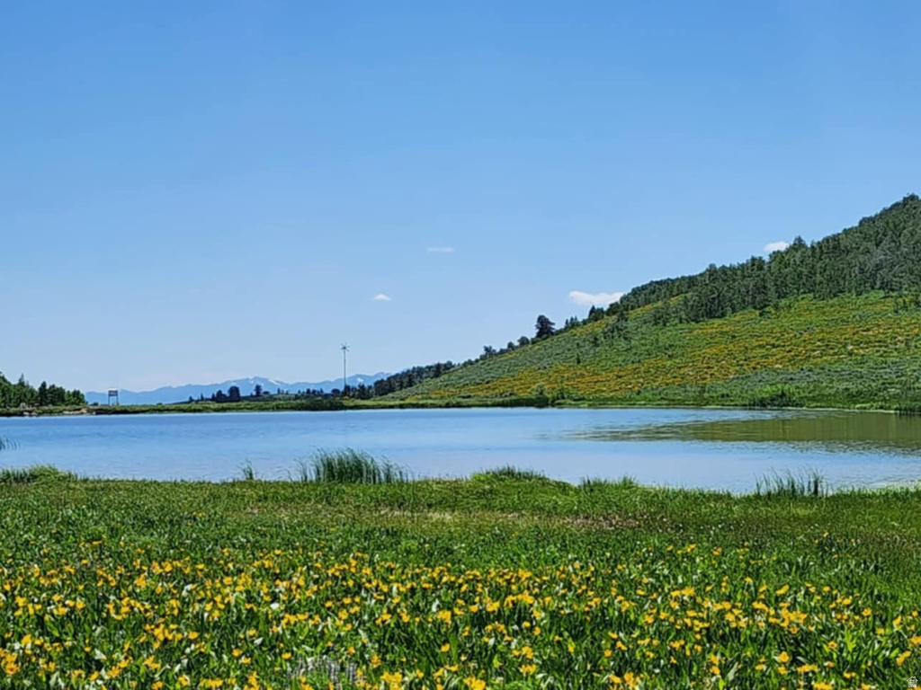 11607  MIDDLE FORK DR Huntsville, UT 84317