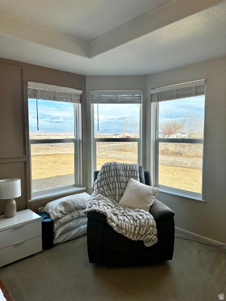 768 W COBBLE HOLLOW DR Roosevelt, UT 84066