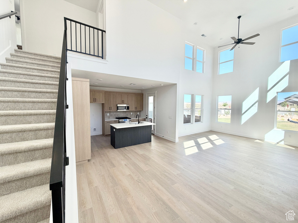 519 W OLIVE LN photo 4