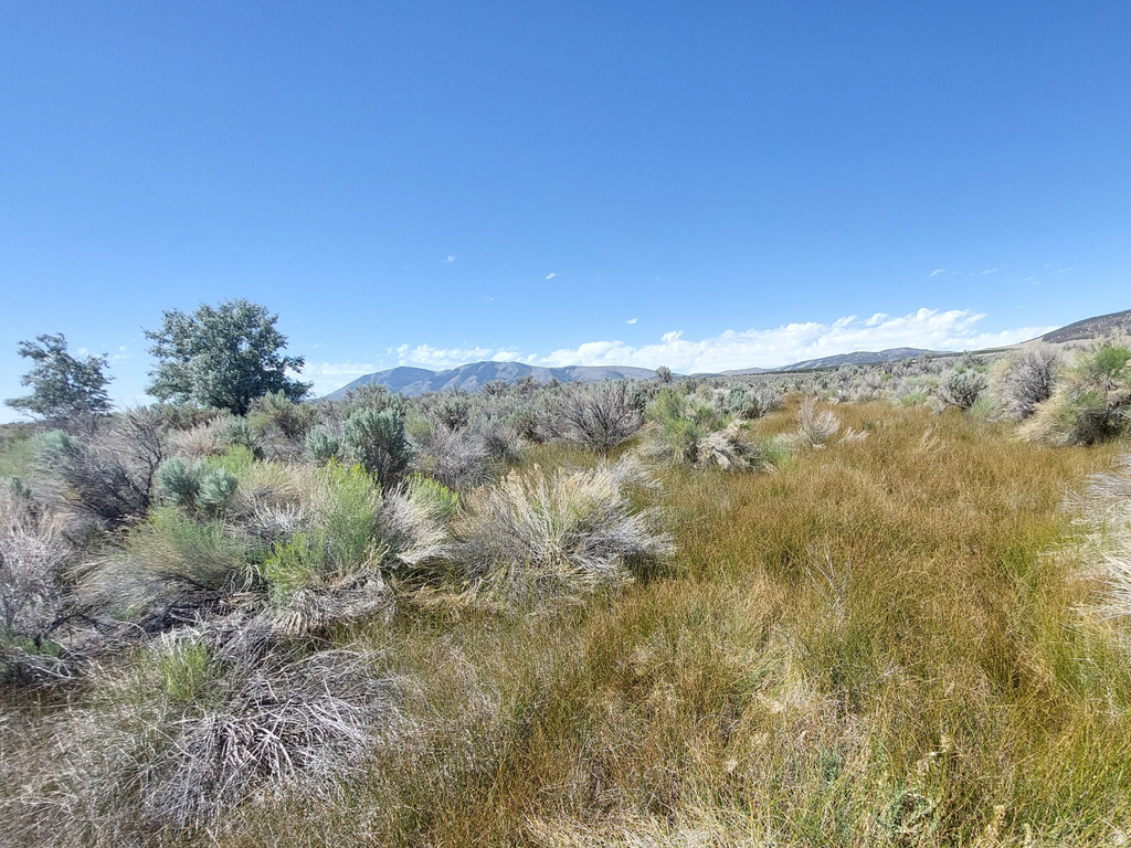  Rush Valley, UT 84069