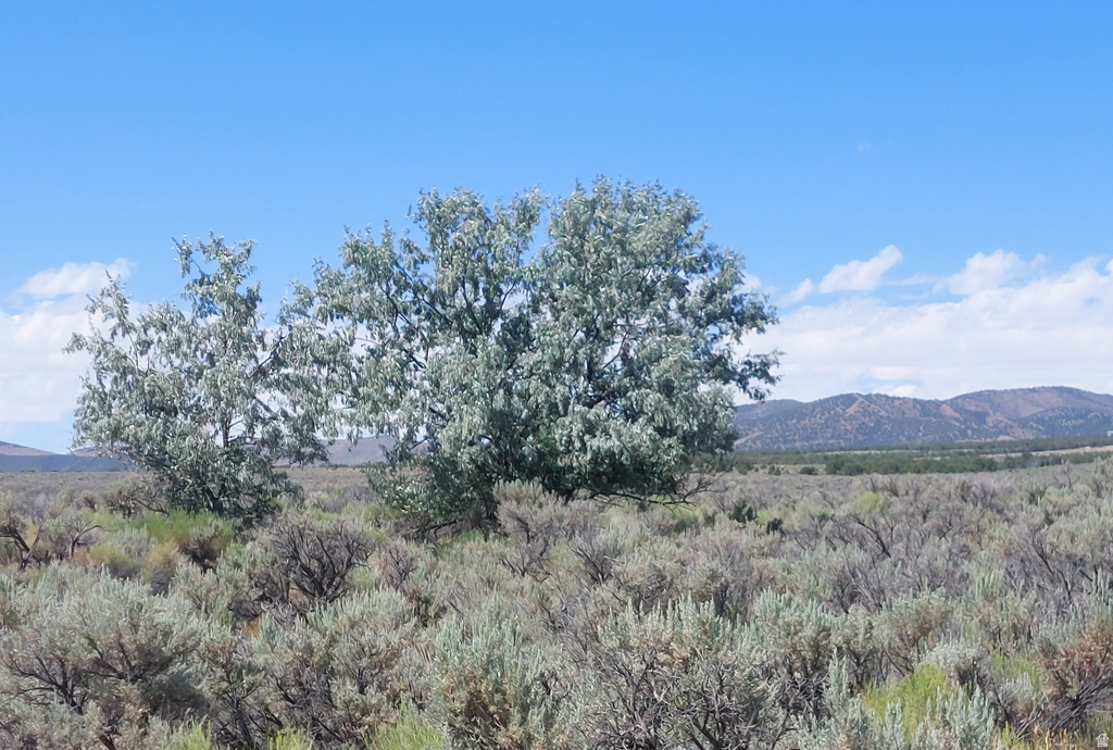  Rush Valley, UT 84069