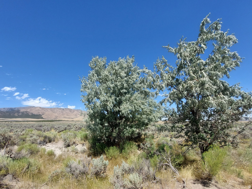  Rush Valley, UT 84069