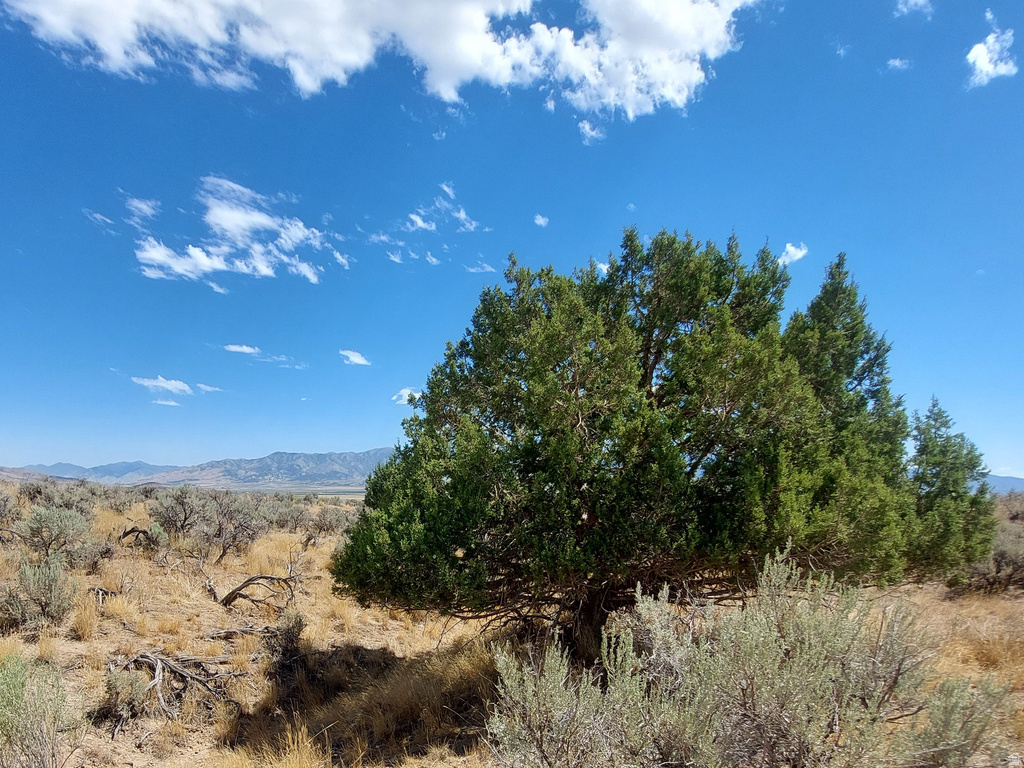  Rush Valley, UT 84069