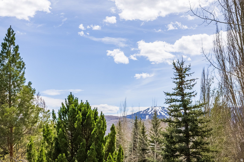 2787 GALLIVAN LOOP Park City, UT 84060