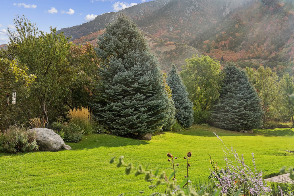 3093 E SCENIC VALLEY LN. LN Sandy, UT 84092