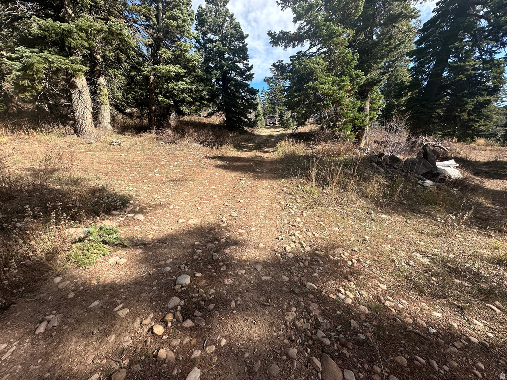 1974  ELK RD Coalville, UT 84017