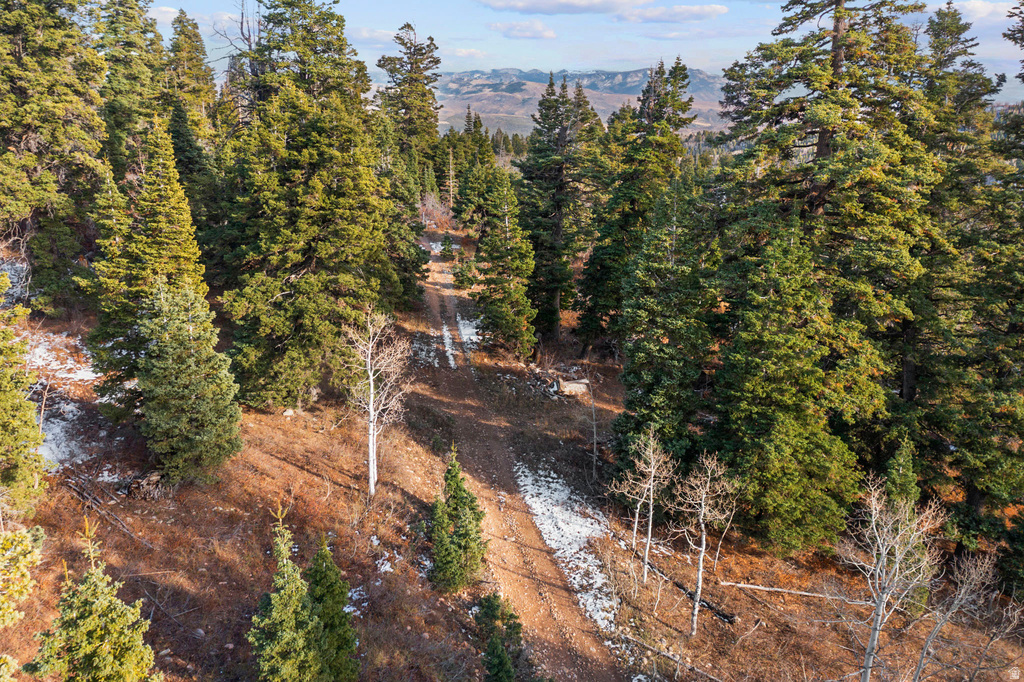 1974  ELK RD Coalville, UT 84017