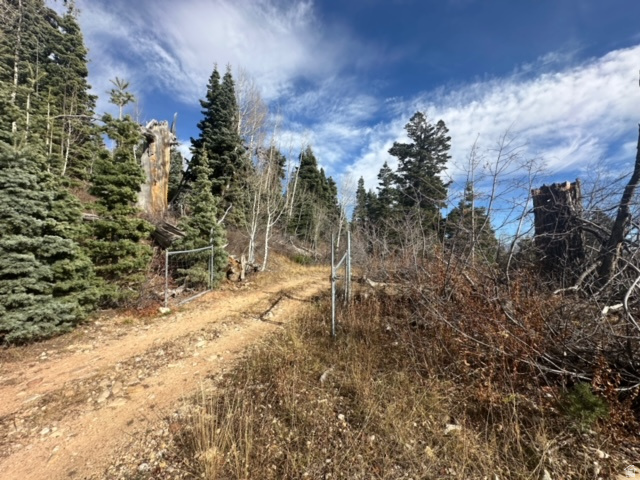 1974  ELK RD Coalville, UT 84017