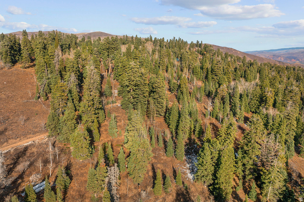 1974  ELK RD Coalville, UT 84017