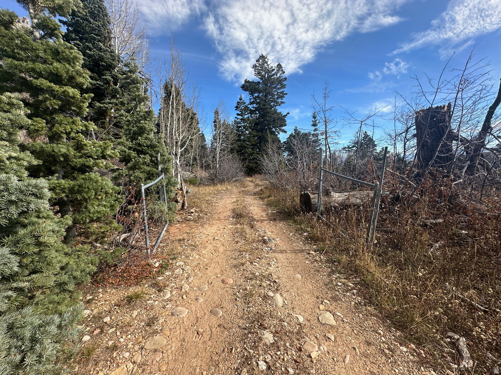 1974  ELK RD Coalville, UT 84017