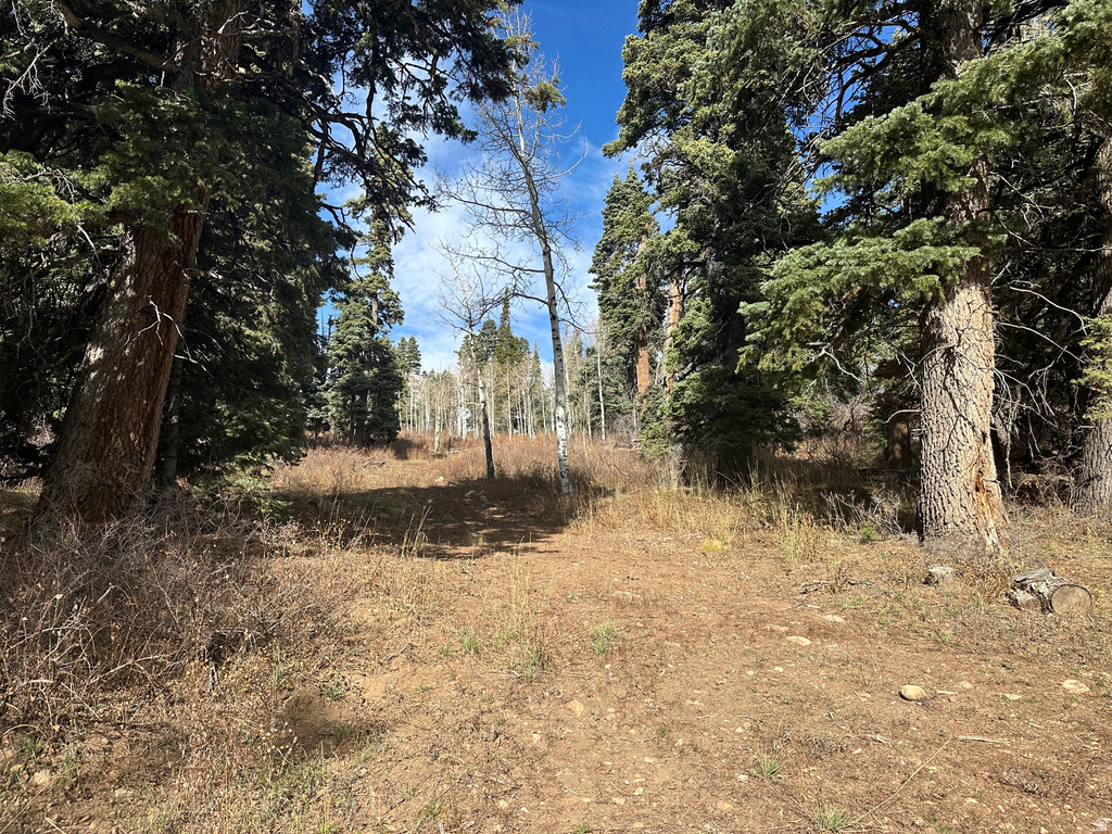 1974  ELK RD Coalville, UT 84017