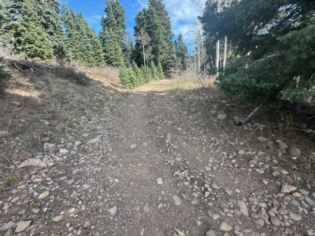 1974  ELK RD Coalville, UT 84017