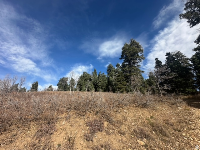 1974  ELK RD Coalville, UT 84017