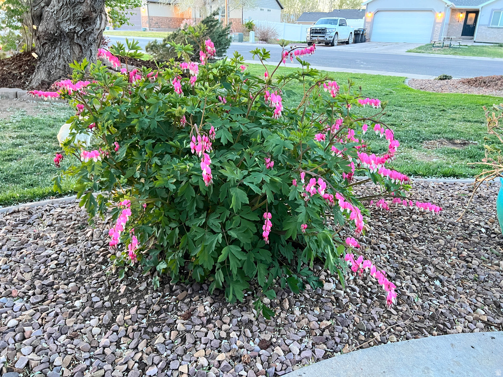 78 E 1875 S Roosevelt, UT 84066