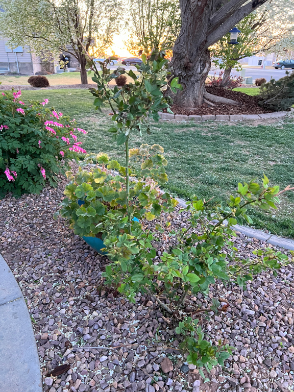 78 E 1875 S Roosevelt, UT 84066