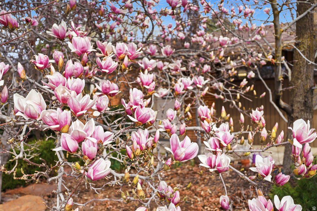 2308 N 800 E North Logan, UT 84341